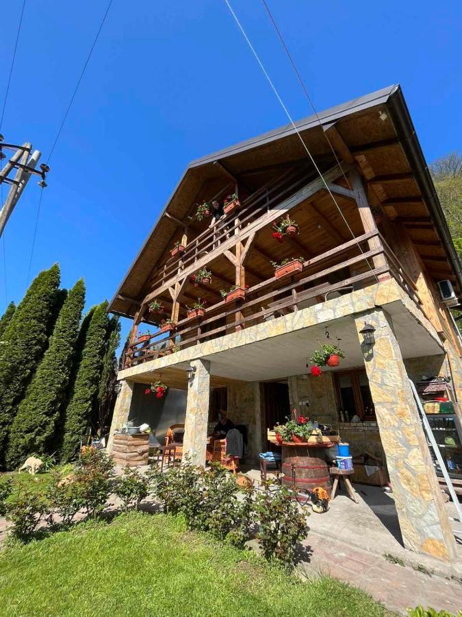 Apartman "Kapetana Luka" Ljubovija Buitenkant foto